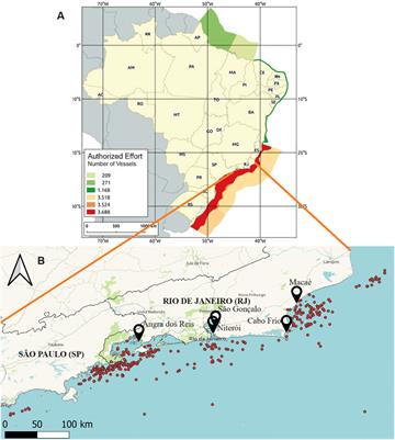 Magnitude of bycatch of Hippocampus patagonicus, an endangered species, in trawl fisheries in Southeast and South Brazil